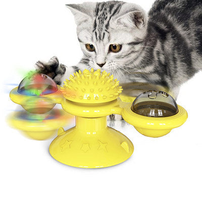 Cat Multi-Function Toys